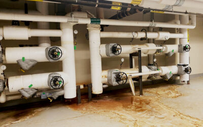How Much Is Your Steam System Costing Your Facility?